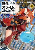 Vol. 11