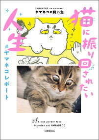 猫に振り回されたい人生