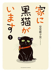 家に黒猫がいます