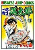 Vol. 13