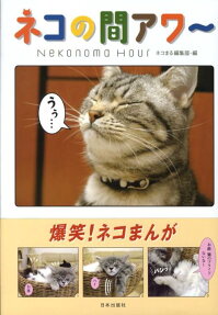 ネコの間アワ～