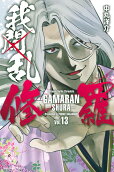 Vol. 13