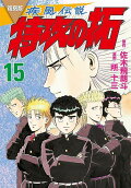 Vol. 15