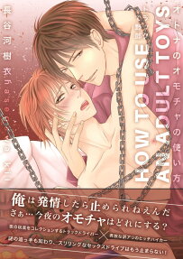 オトナのオモチャの使い方