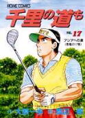 Vol. 17