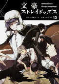 Vol. 13