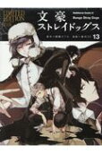 Vol. 13