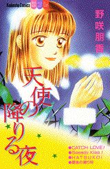 天使の降りる夜