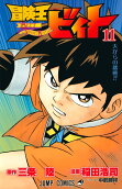 Vol. 11
