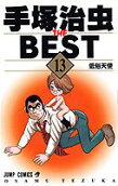 Vol. 13