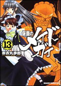 Vol. 13