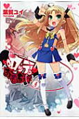 Vol. 4