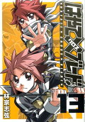 Vol. 13