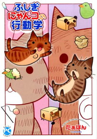 ふしぎにゃんコの行動学