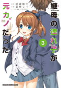 Vol. 3