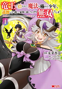 竜王に拾われて魔法を極めた少年、追放を言い渡した家族の前でうっかり無双してしまう