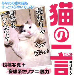 猫の一言