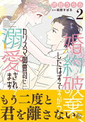 Vol. 2
