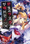 Vol. 10