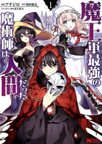 魔王軍最強的魔術師是人類