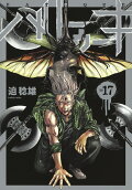 17권