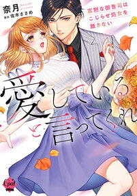 愛していると言ってくれ : 寡黙な御曹司はこじらせ処女を離さない