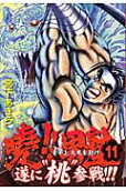 Vol. 11