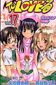 17권