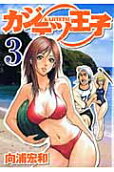 Vol. 3