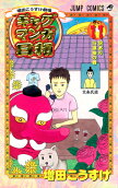 Vol. 11