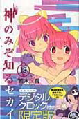 Vol. 13