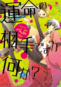 Unmei no Aite Desu ga, Nani ka?