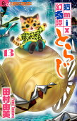 第13卷