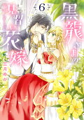 Vol. 6
