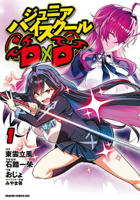 Junior High School DxD