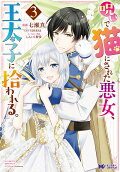 Vol. 3