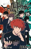 25권