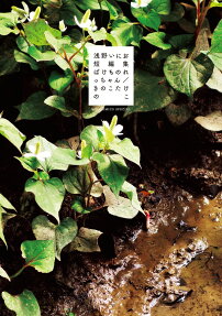 ばけものれっちゃん/きのこたけのこ : 浅野いにお短編集