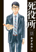 Vol. 13