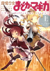 Puella Magi Madoka Magica: The Different Story