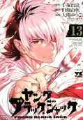 第13卷