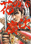 Vol. 6