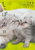 11권
