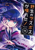 Vol. 11