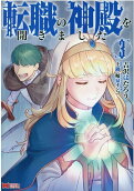 Vol. 3
