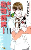 Vol. 11