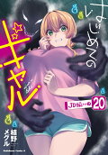 20권