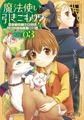 Vol. 3