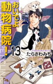 Vol. 13