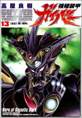Vol. 13